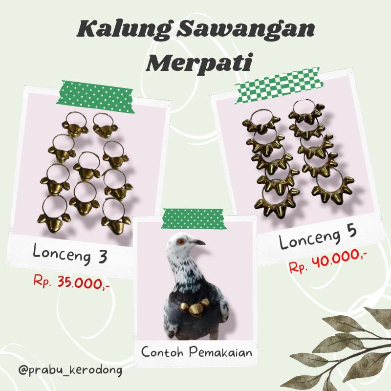 Kalung sawangan merpati kuningan