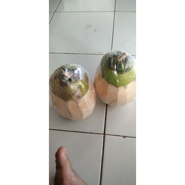 

kelapa kopyor genjah khas kab. pati