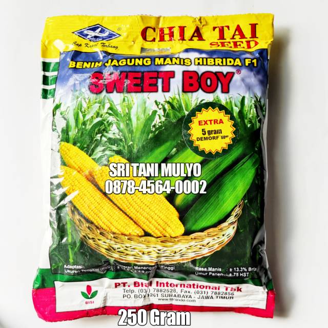 250 Gram - Benih Jagung Manis SWET BOY F1 CAP KAPAL TERBANG - Bibit Jagung Talenta Jaguar Virginia