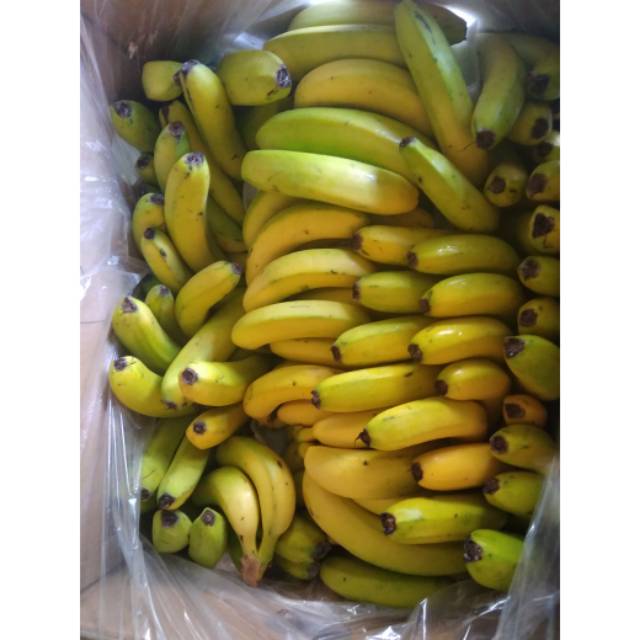 

Pisang cavendish