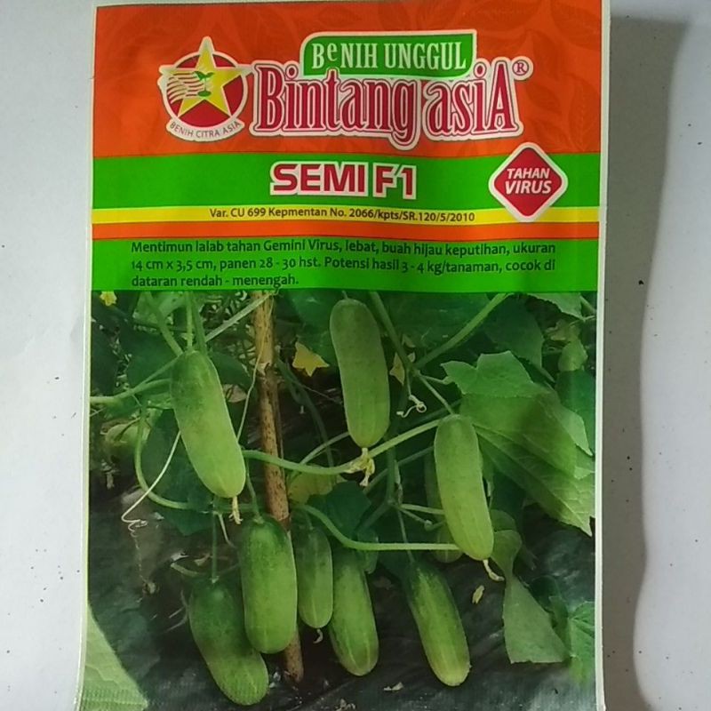 Benih Mentimun / Timun Baby SEMI F1 Cap Bintang Asia