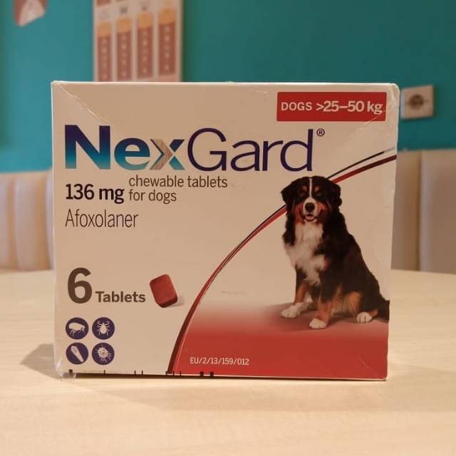 NEXGARD XL OBAT KUTU DAN DEMODEX ANJING 25-50KG