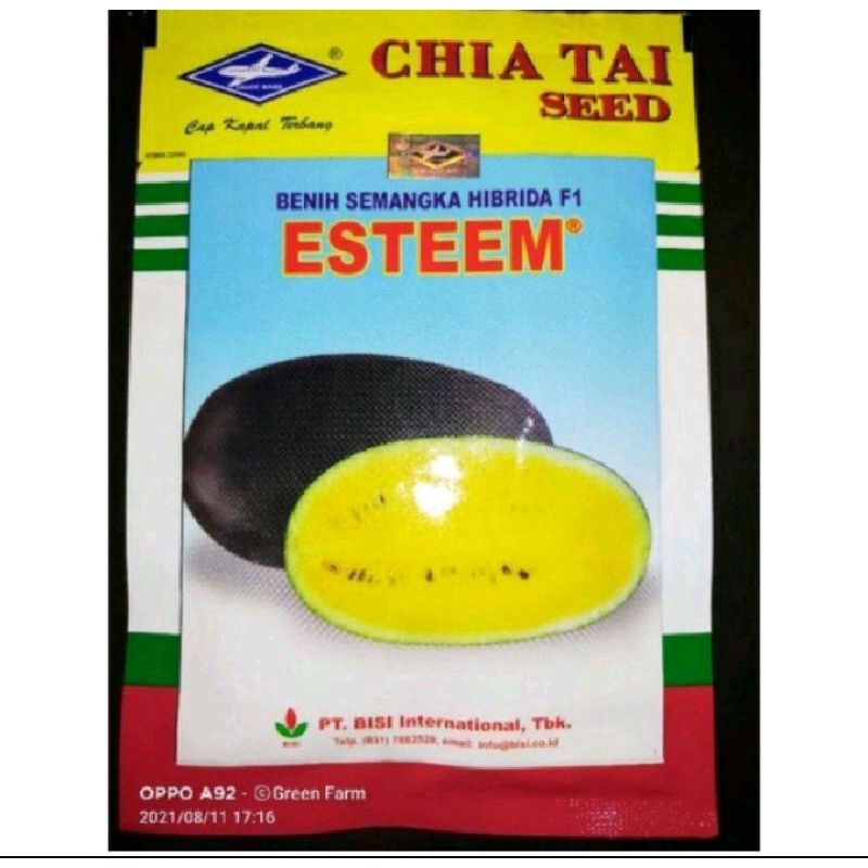 semangka esteem F1 20gr Original Pabrik semangka inul kuning hibrida