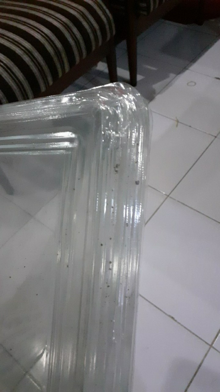 Mika Bento Sekat 5 / Box Bento Sekat 5 / Mika Bento Besar / Box Bento Besar / Bento Lubang 5