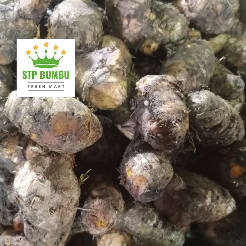 Biang Kunyit Segar 250gr