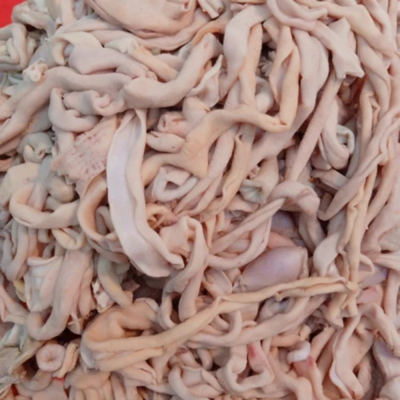 

(Termurah) Usus Ayam Segar 1kilo