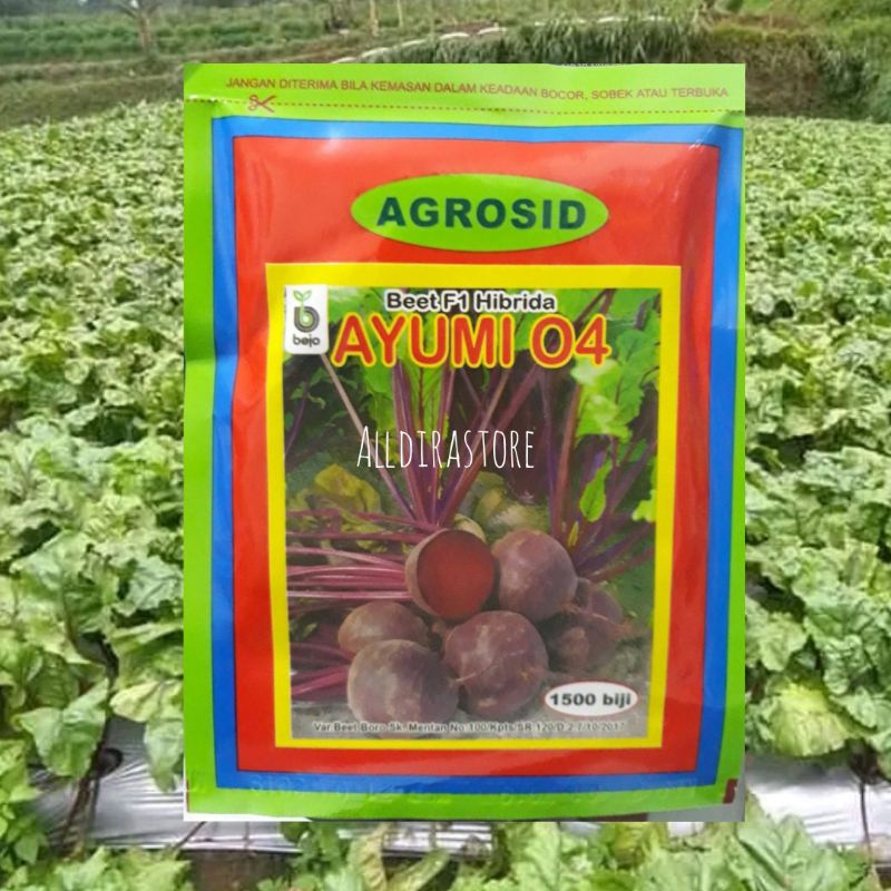 Benih Buah Bit / Beet Root Ayumi F1 Repack Isi 100Biji