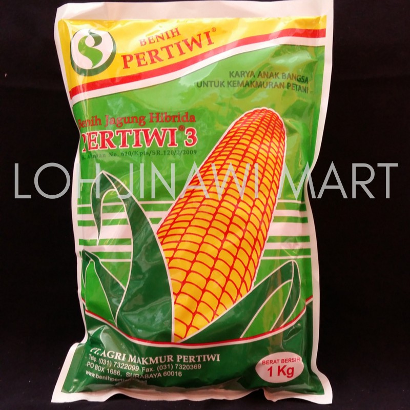 Jual Benih Jagung Hibrida Pertiwi-3 1 Kg | Shopee Indonesia