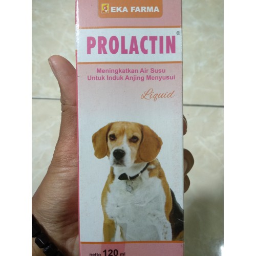 ASR345 Prolactin - Vitamin dan Nutrisi Anjing Menyusui
