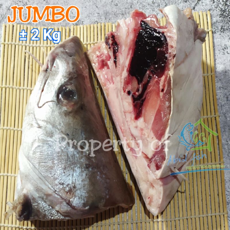 

Kepala manyung segar jumbo