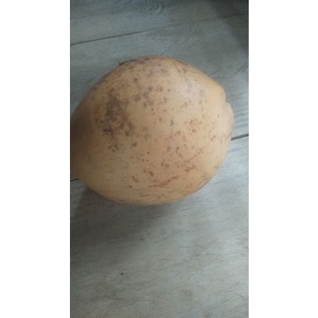 

kelapa muda kuning