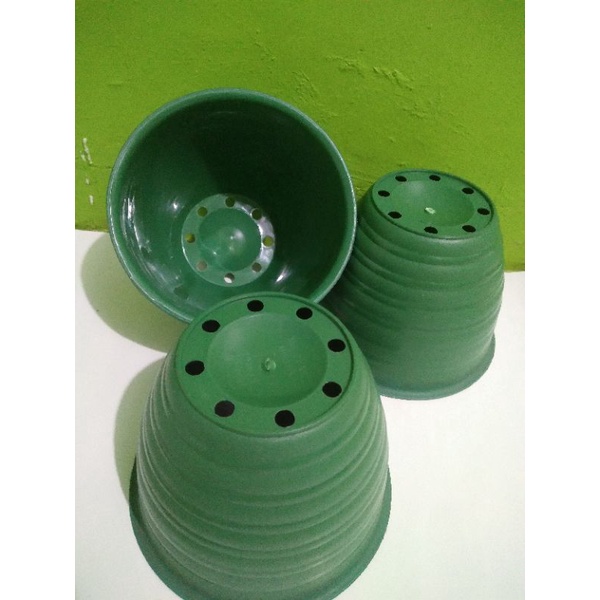 Pot bunga tawon hijau