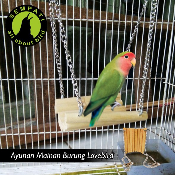 Ayunan Rantai Mainan Burung Lovebird Shopee Indonesia