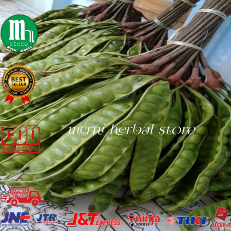 

Tanaman Makanan Pete Segar per Papan