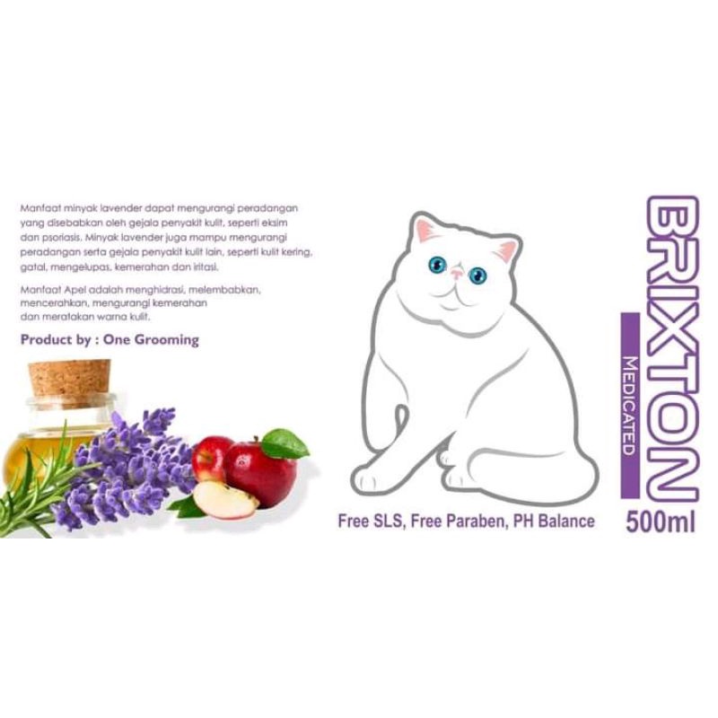 BRIXTON SHAMPOO MEDICATED 500 ML