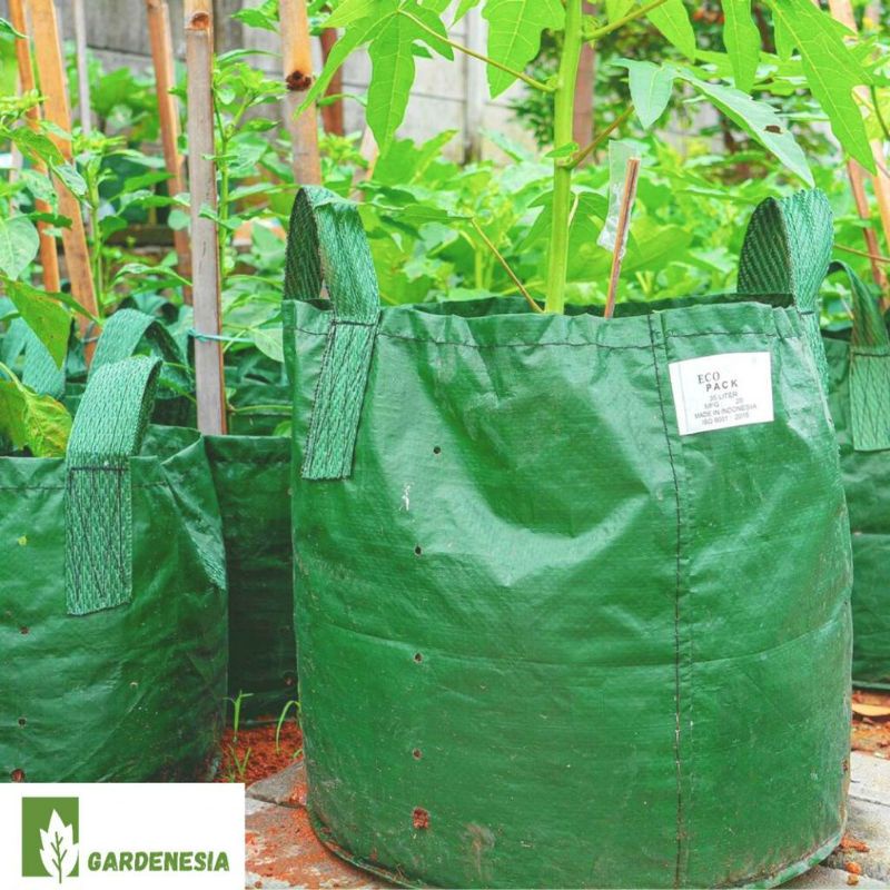 Planter Bag Eco Pack 35 Liter Green HDPE Original Kualitas Ekspor Tabulampot