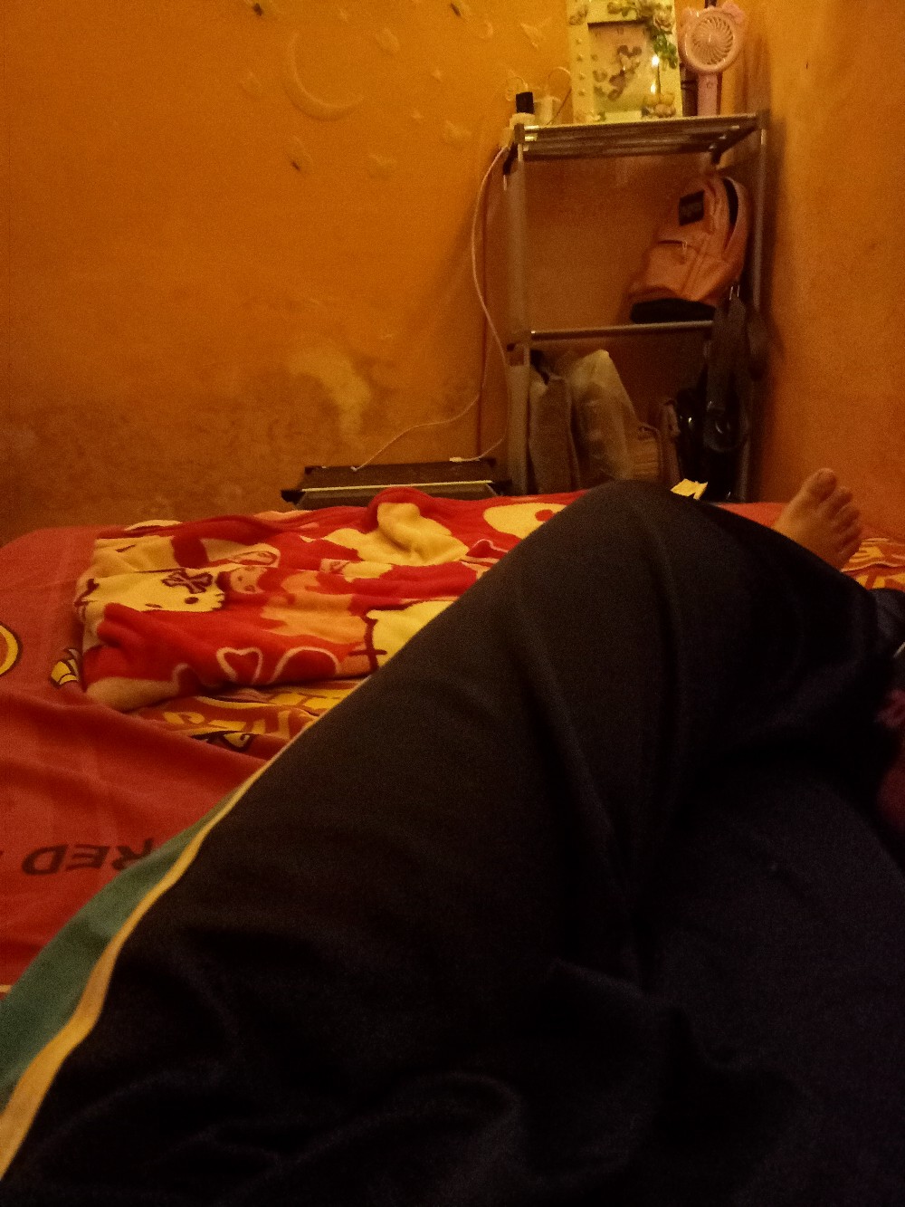 Lemari Portable Pakaian Anak Rak Serbaguna Plastik Lemari Baju Rak Buku 2 Kotak Pintu Kartun