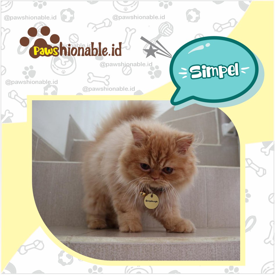 K20 - Kalung Custom Nama Kucing Anjing Aksessoris Hewan PU Leather/Kulit Sintetis