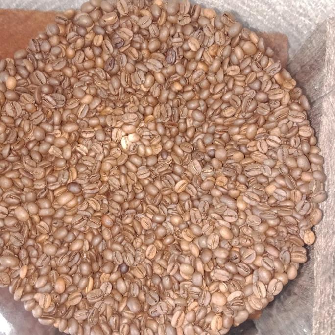 

Kopi Arabika Pilihan 1 Kg -Diskon Besar