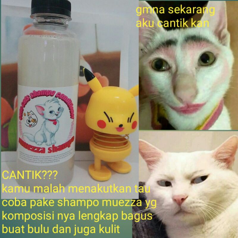 shampo hewan cat sampo ukuran 250 ml untuk kucing anjing sampoo muezza anti kutu jamur tick and flea rontok Angora anggora sampho  mixdome bengal murah terlaris natural promo terlaris diskon obat