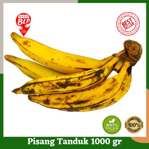 

Pisang Tanduk 1000 gr Berkah Lumbung Pangan