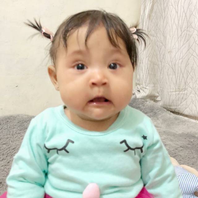 muhammadroyanifirdaus