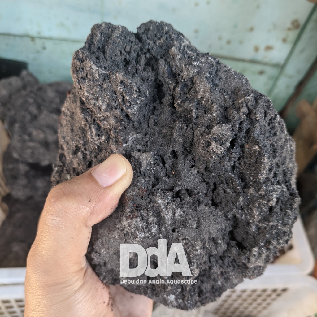 Batu Lava Hitam / Black Lava Rock / Batu Aquascape / Debu dan angin