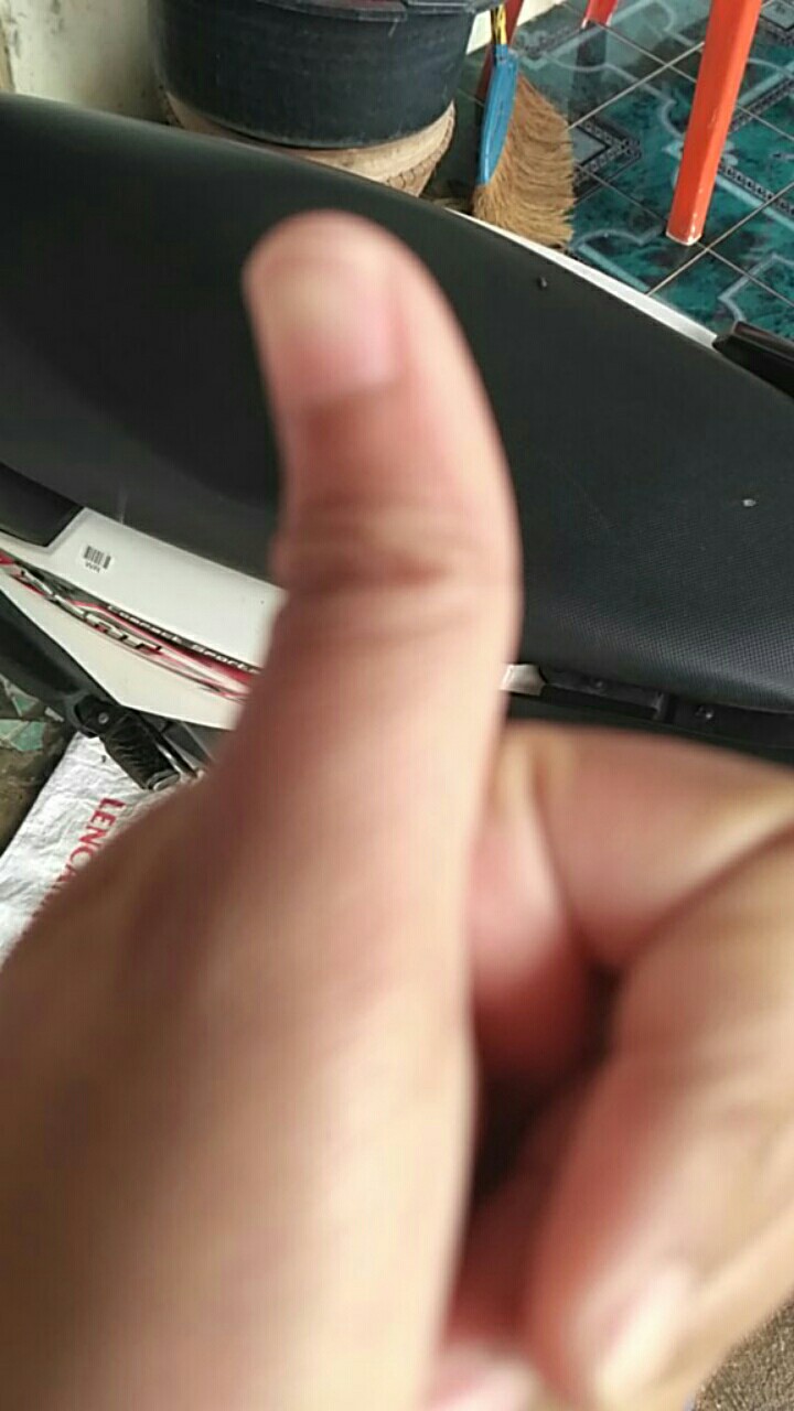 Fungisida Mancozeb Biru best Blue 800gram