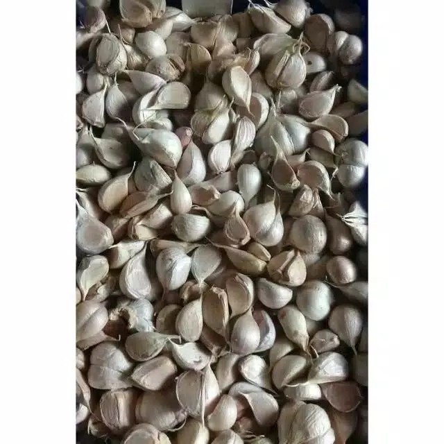 

Bawang Putih Cutting 1 Kg