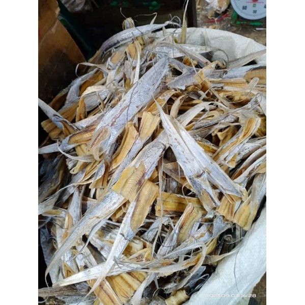 

Ikan Bledang Tawar 1Kg Medan