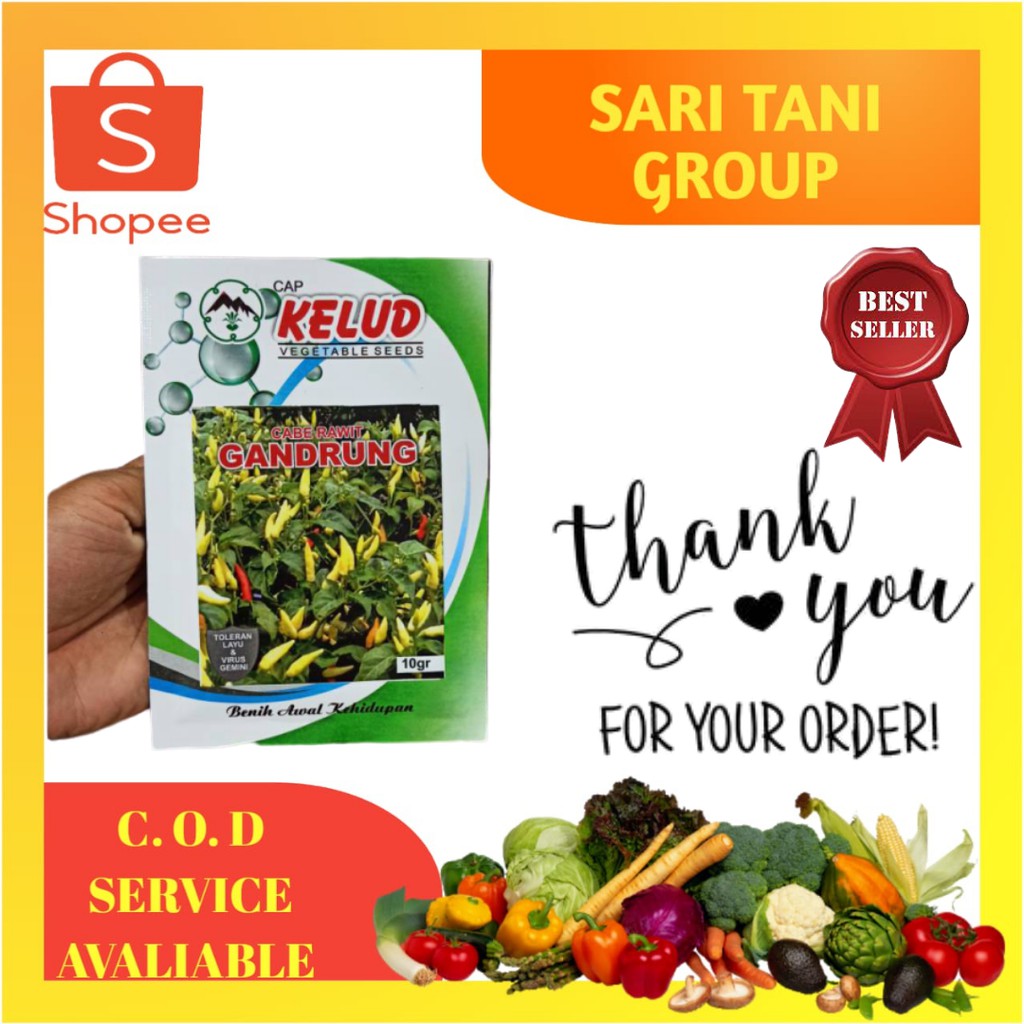 Benih Cabe Gandrung 10 Gram