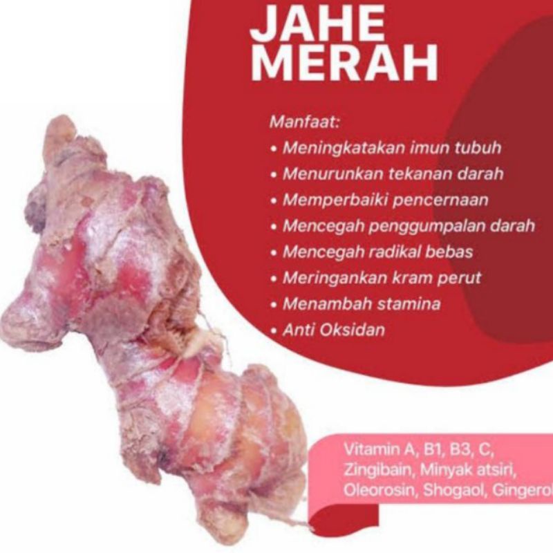 

jahe merah jahe lokal jahe segar jahe merah Asli pilihan best quality