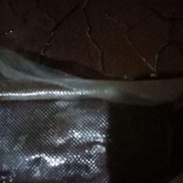 Terasi Udang/ebi 200gram