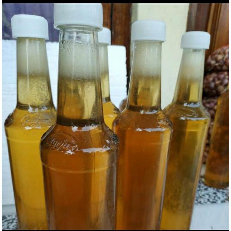 

madu murni lebah hutan liar