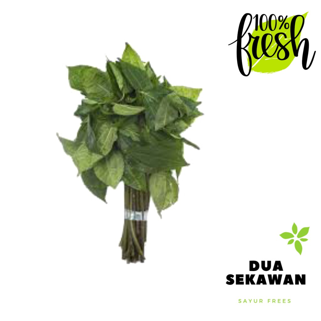 Dua Sekawan || popohan segar 1ikat