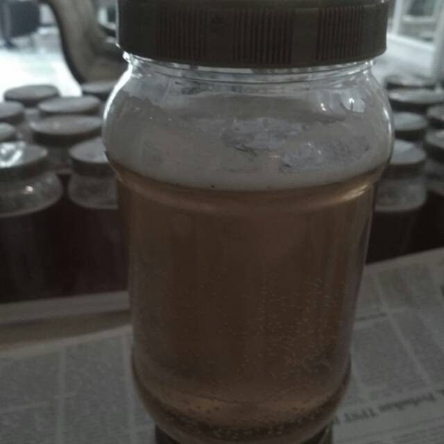 

Madu ternak