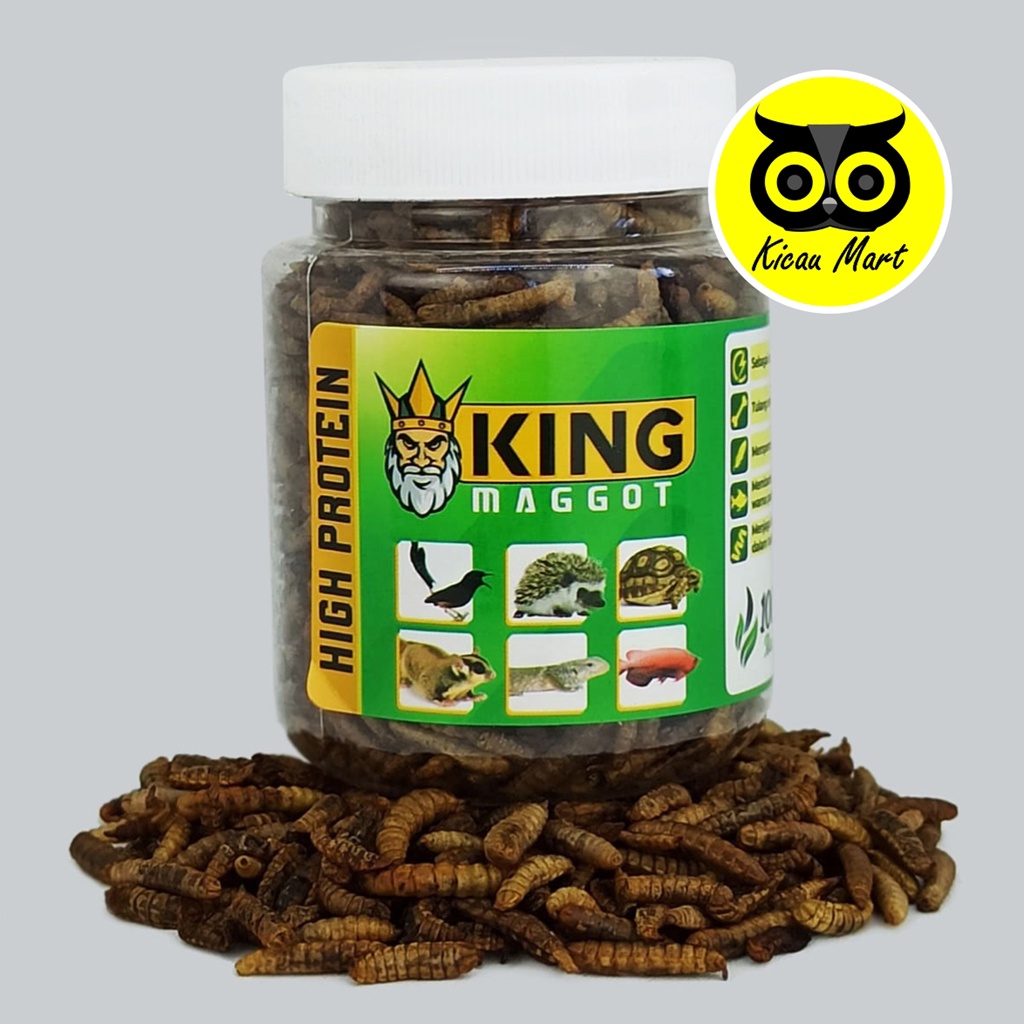 King Maggot Sempati Larva Bsf Super Dry Maggot Kering Pakan Burung Sugar Glider Kura Kura Gecko Leopard Reptil Landak mini Ikan Arwana Cemilan Snack Hewan