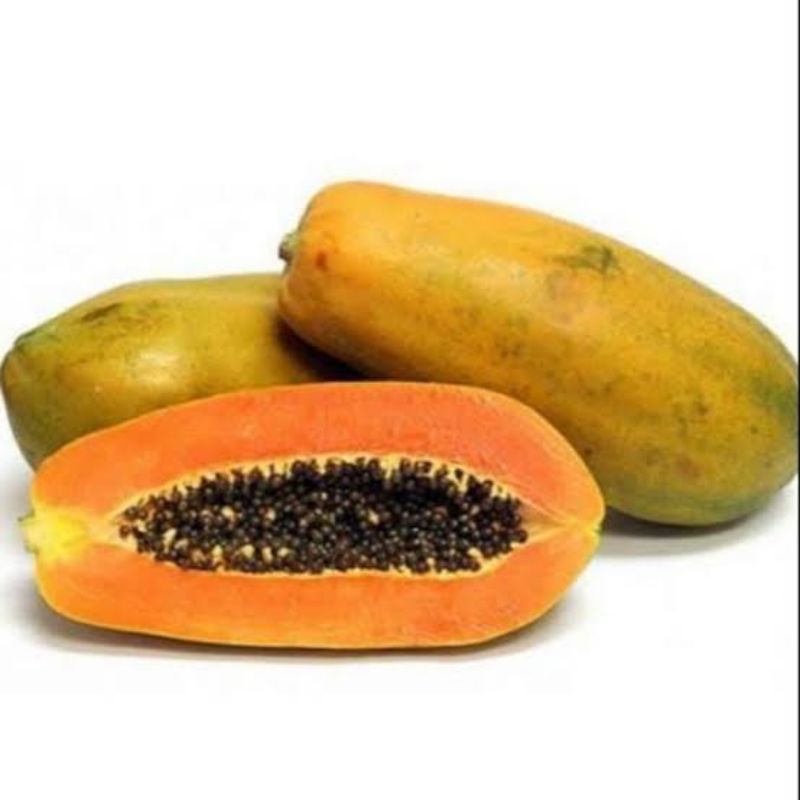 

pepaya california termurah