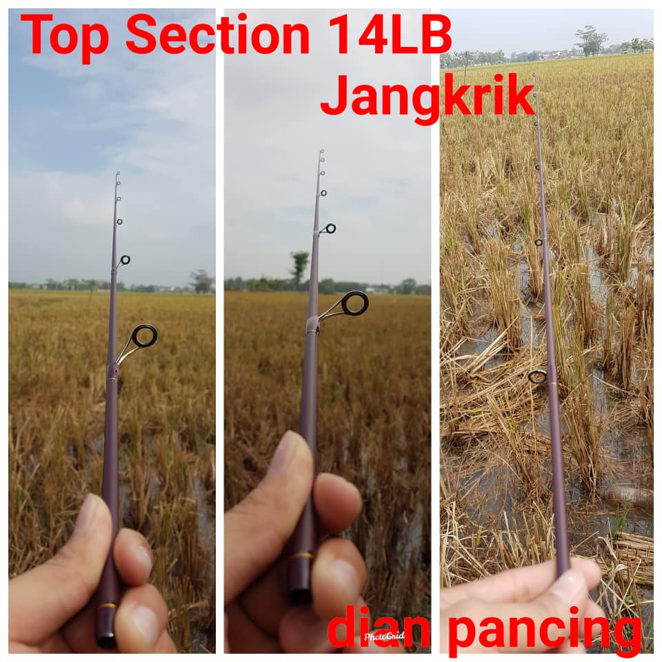 Top section Joran Jangkrik 602 14lb dan 17LB