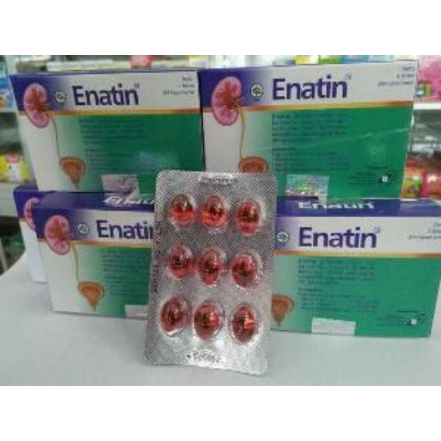 ENATIN BLISTER 9 KAPSUL OBAT HERBAL BATU GINJAL