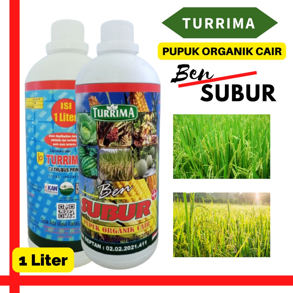 Pupuk Cair Penambah Bobot Padi, Pupuk Organik Padi Pupuk Penambah anakan padi Pupuk BEN SUBUR 1 Lite