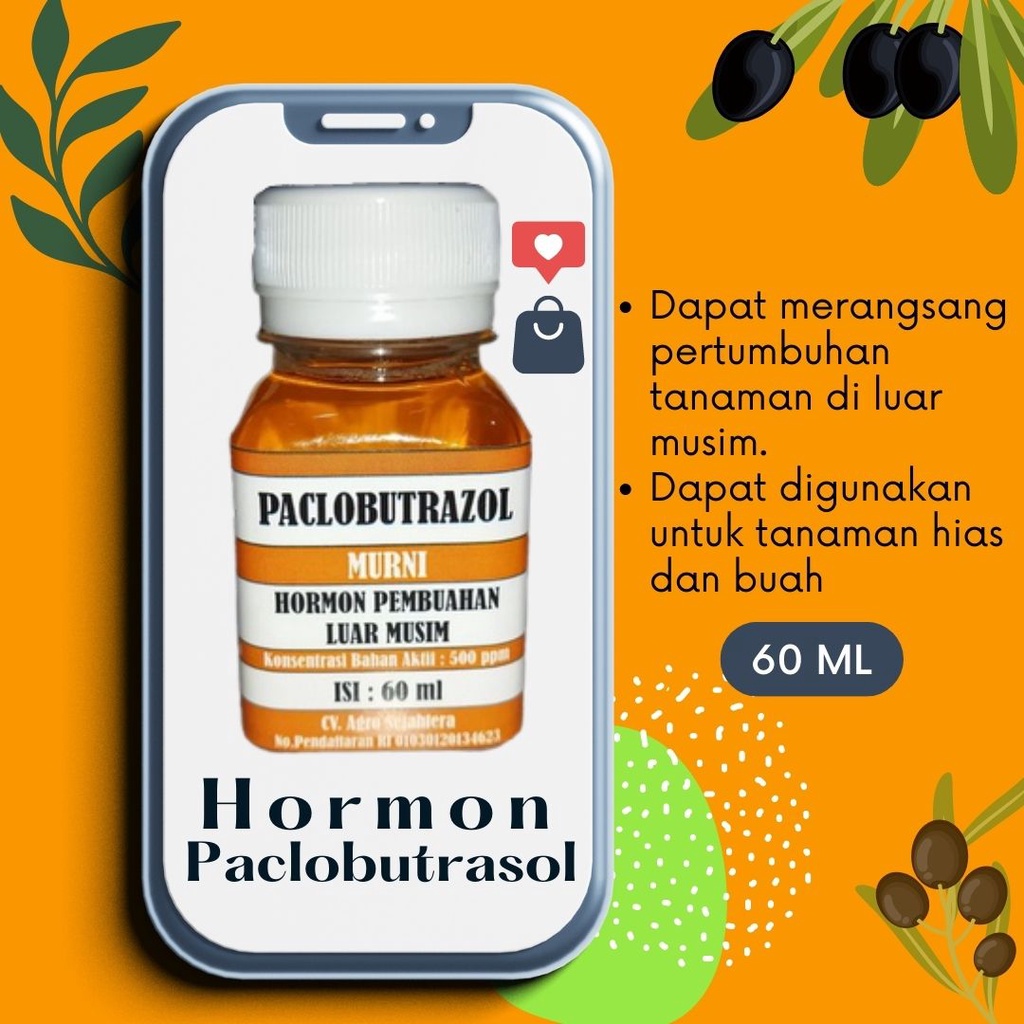 Zpt Tanaman Paclobutrazol Murni Hormon Paclobutrazol Paclobutrasol Hormon Paklobutrasol Paclobutrazo