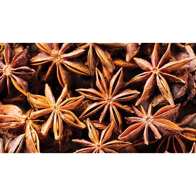 

Bunga Lawang / Star Aniseeds