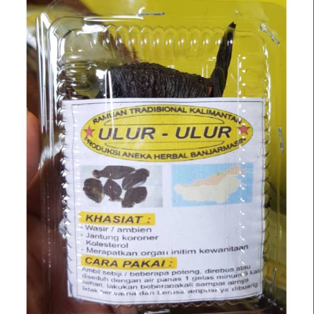 

ULUR_ULUR HERBAL RAMUAN TRADISIONAL KALIMAMTAN