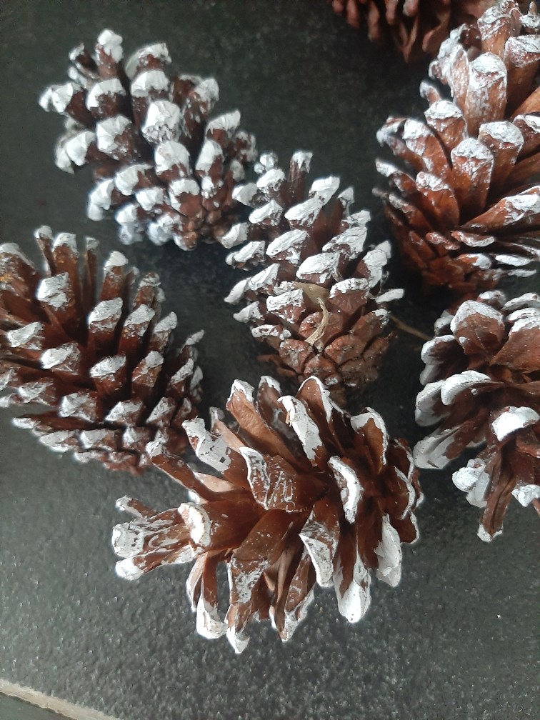 Bunga Pinus Salju Bunga Pinus Kering Putih Salju Hiasan Pohon Natal Dekorasi Natal