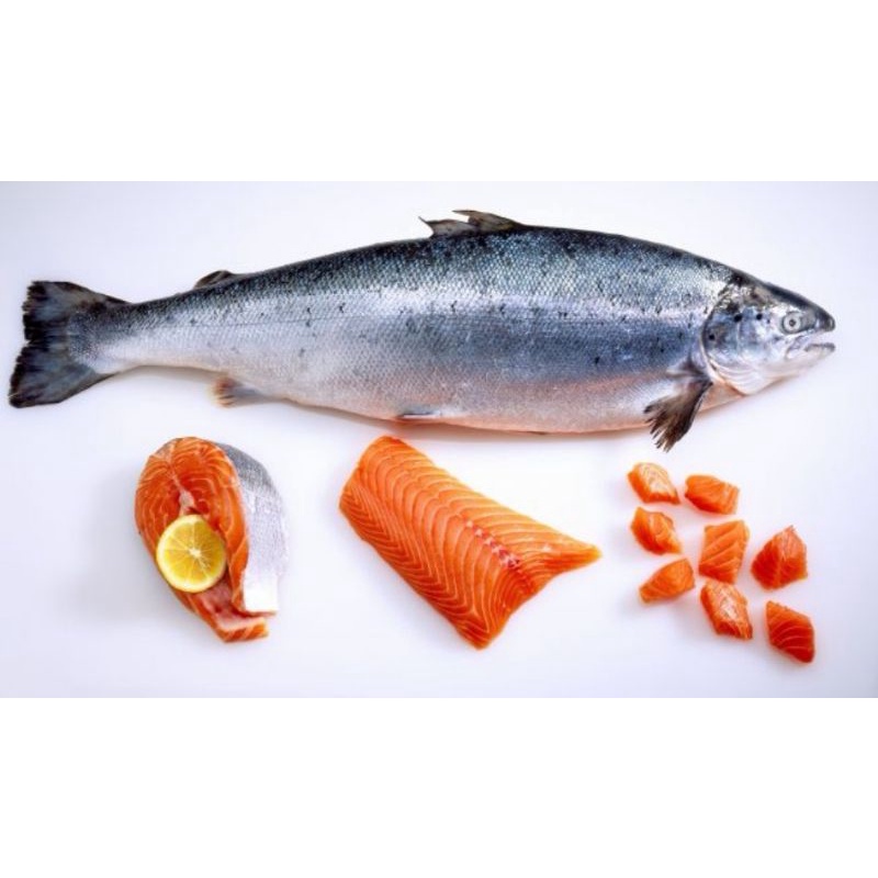 

Ikan Salmon Fillet