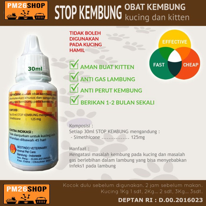 Obat Kembung Kucing