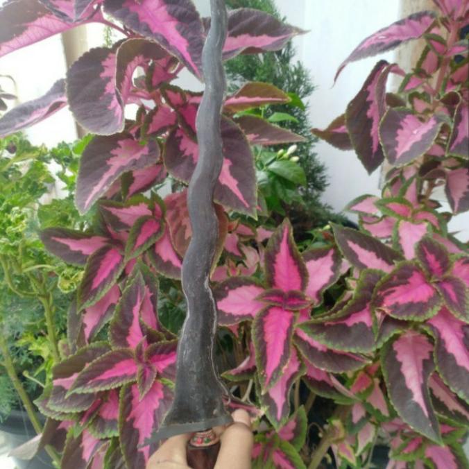 keris kyai sengkelat meteorid sepuh