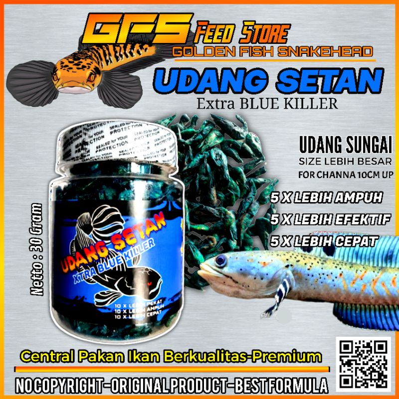 Udang Setan Blue 30 Gram Pakan Channa Kontes