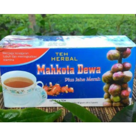 

TEH Obat herbal khasiat ampuh mengobati rematik asam urat nyeri sendi pegal linu dengan teh mahkota dewa